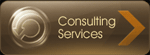 Consulting Services